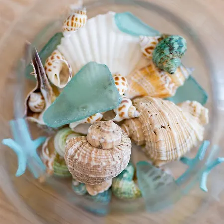 Διαμέρισμα Varkes 1 Νέα Ποτίδαια