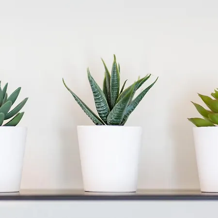 Apartament Varkes 1 Nea Poteidaia