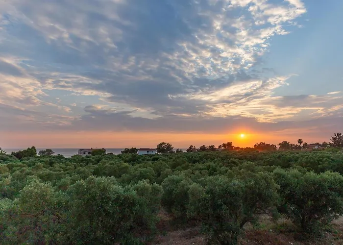 Varkes 1 Apartamento