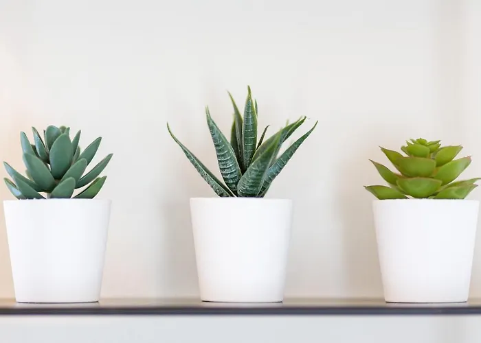 Apartamento Varkes 1 Nea Poteidaia